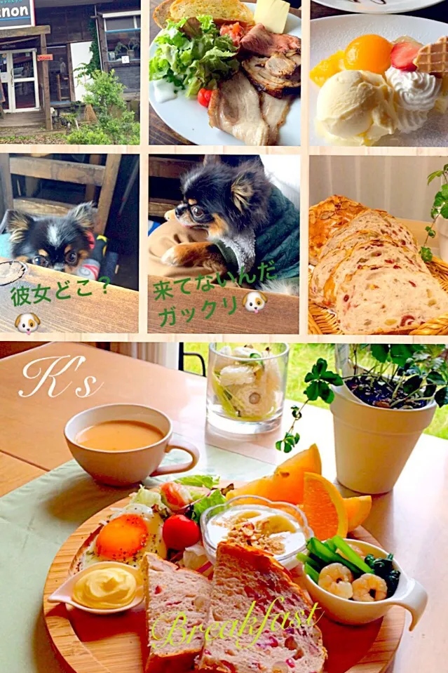 Snapdishの料理写真:会いたかったな…🐶                      クランベリーと胡桃のパンで朝食💗|くうちゃんさん