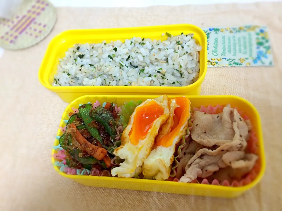 Snapdishの料理写真:6/25 お弁当✡|ねこ。さん