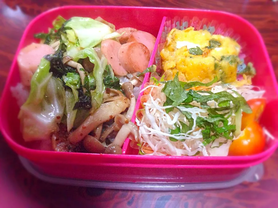 Snapdishの料理写真:野菜たっぷり弁当|Kumiko Hongさん