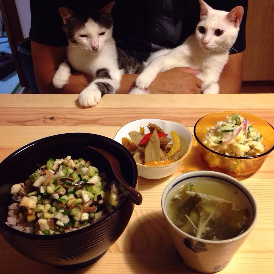 だし丼。梅漬け醤油かけて食べる。|naouさん