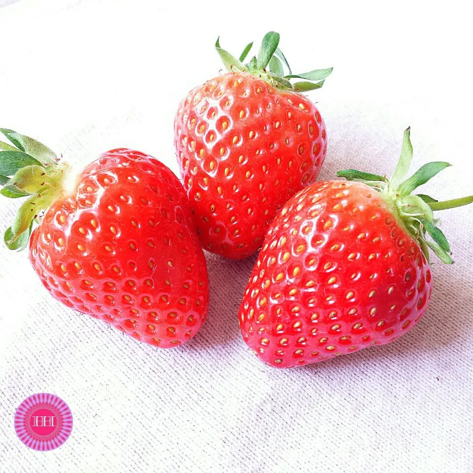 Fresh strawberries for breakfast. Yummy #Breakfast/Brunch #fresh #fruit #strawberries|Biscuite Queenさん