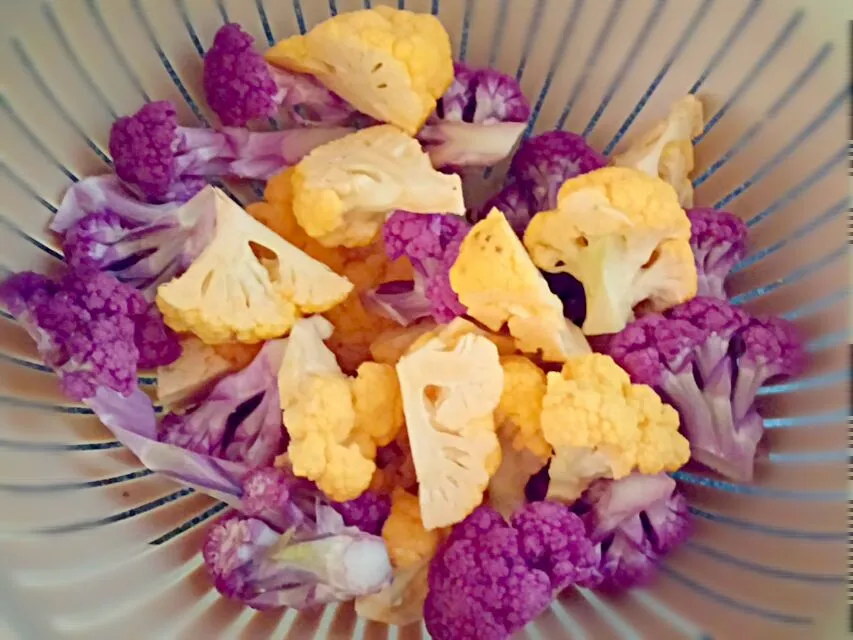 fresh golden and purple cauliflowers|Jiraphon Gさん