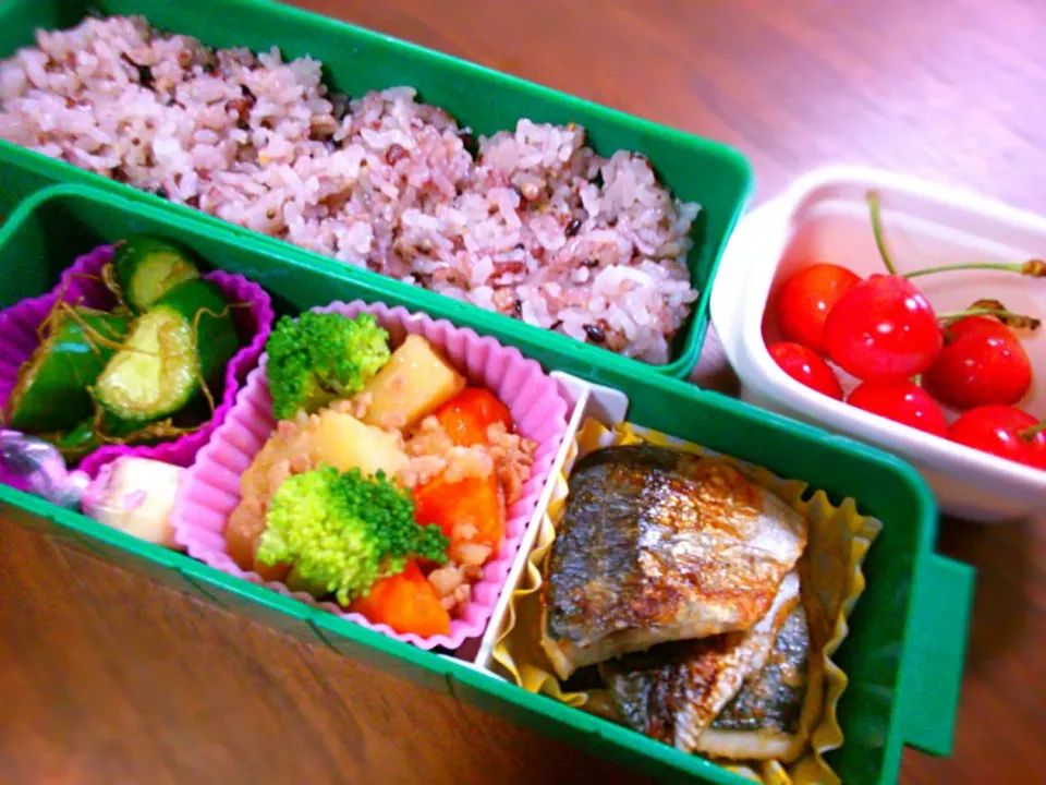 中１女子の今日のお弁当。十五穀米、鯵のバター焼き、馬鈴薯のそぼろ煮、胡瓜のがごめこんぶ和え、ひとくちチーズ、さくらんぼ|みっちっちさん