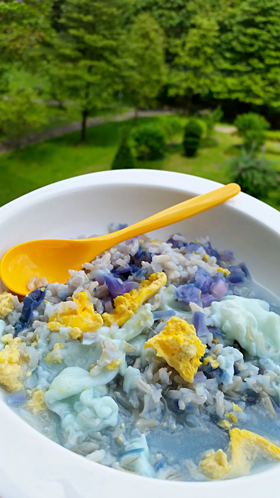 Baby porridge ♡ #ecobrownrice #egg #purplecabbage|Rupert Prisca Ganさん