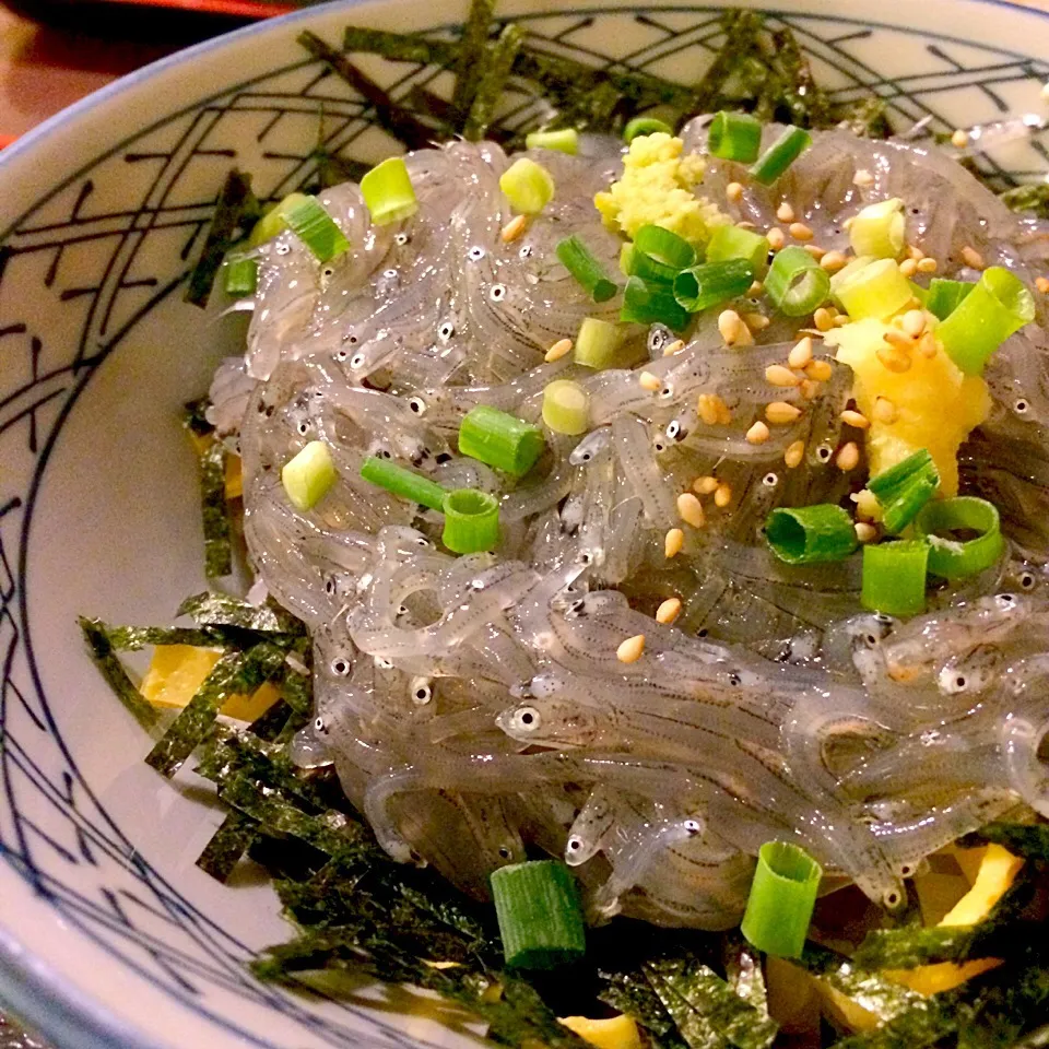 生しらす丼|たべるいしいさん