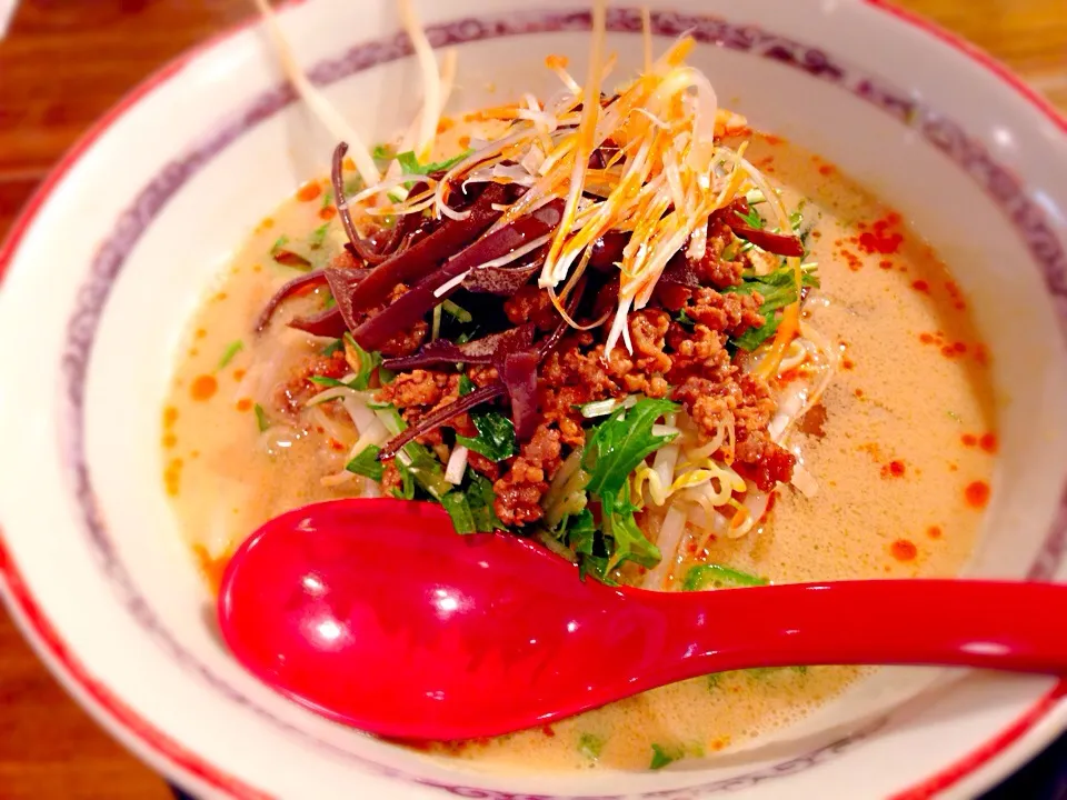 Snapdishの料理写真:四川風坦々麺|ももねえさん