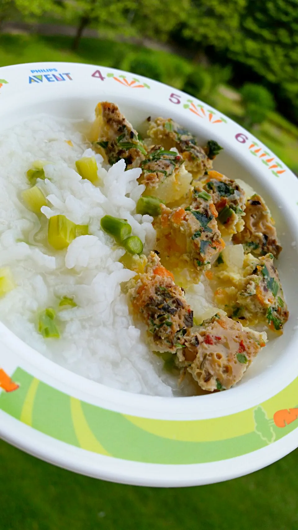 Snapdishの料理写真:Baby porridge + steamed eggs #eggs #carrots #Potatos #chineseparsley #oreganobasilandtomatospice #asparagus|Rupert Prisca Ganさん