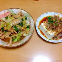 回鍋肉・冷奴|あいさん