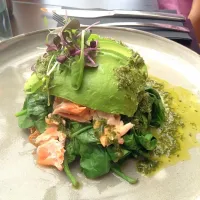 Veggie Salmon Avocado Dish|💐SophiaVAN🍁さん