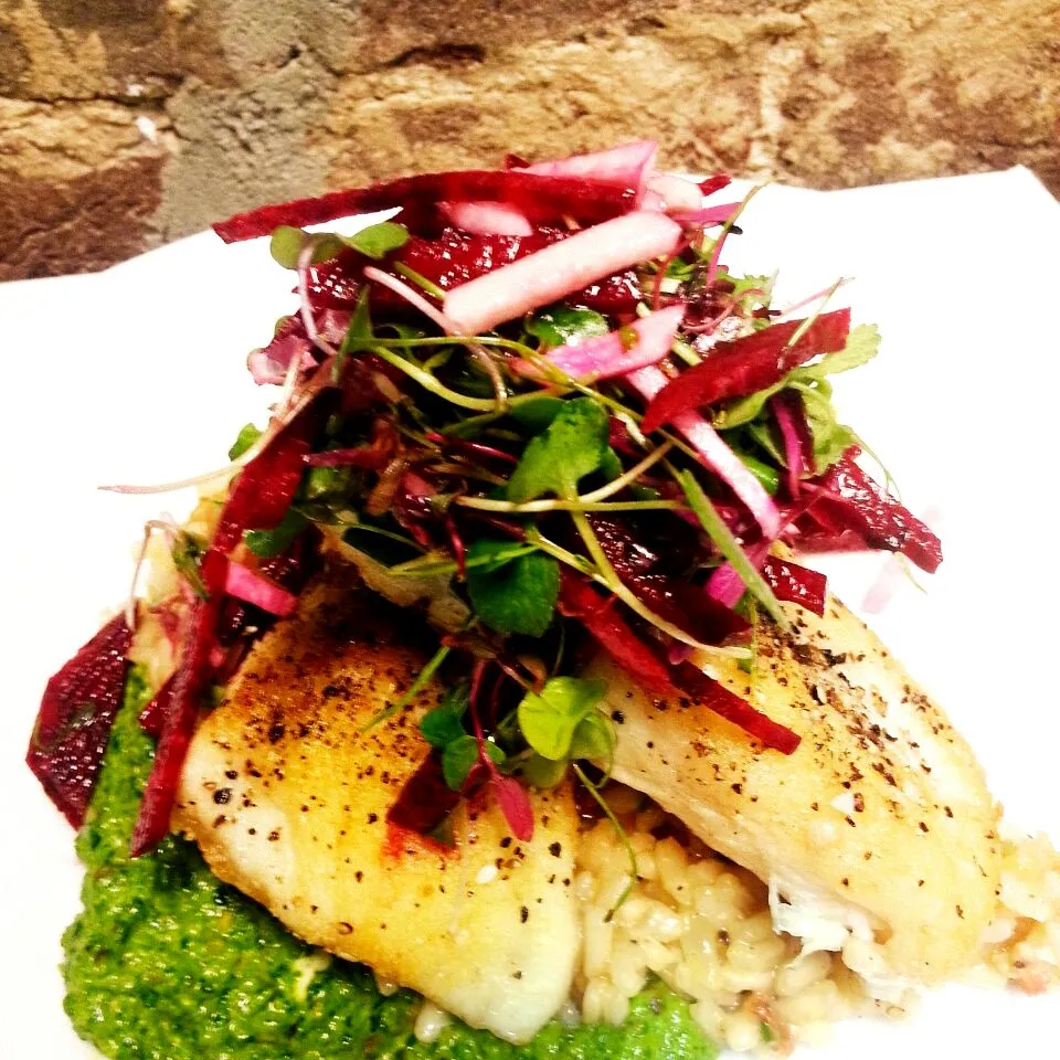 pan seard opah, blister tomato risotto, spinach-pistachio pesto, candy striped beet salad|Austinさん