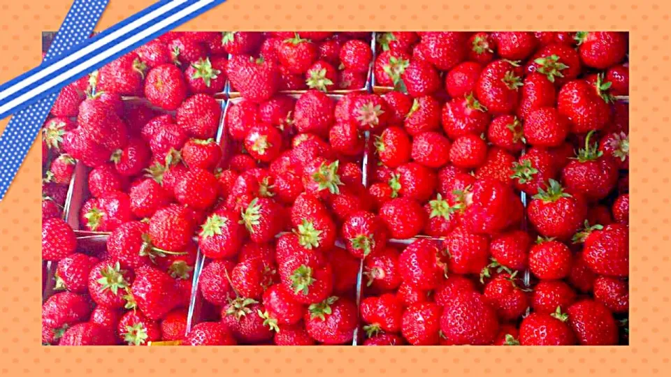 Strawberries to jam and cake 15 liters. Or you can put in the freezer.|Emmelineさん