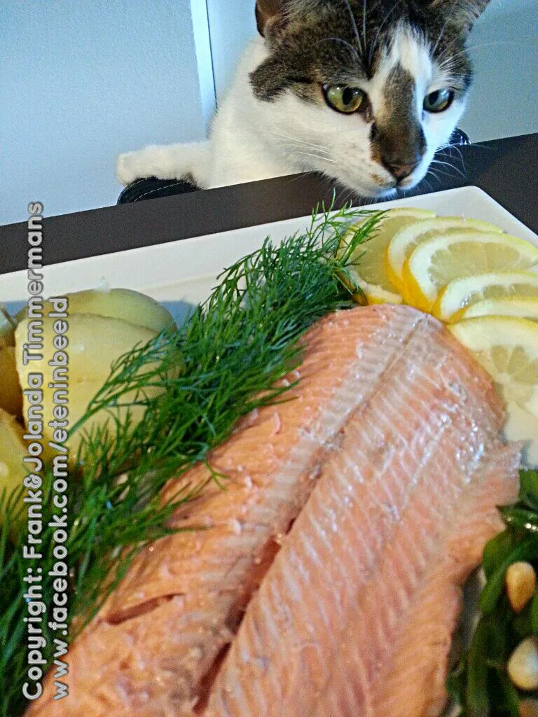 Homesmoked trout (from the Primo) with potato and sea lavender|Frank&Jolanda - Eteninbeeldさん