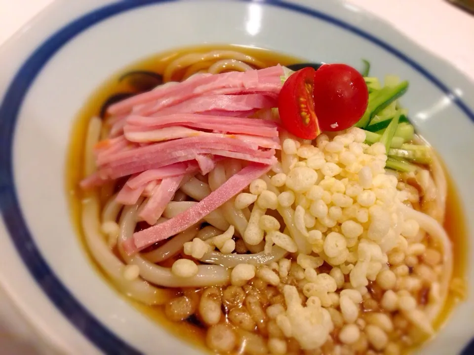 冷やしたぬきうどん|めぐさん