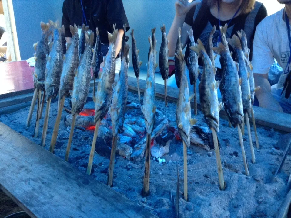 イワナの塩焼き|ぐれこさん