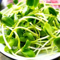 Snapdishの料理写真:Sunflower sprout 's to going to stir fry 🌻🌱|Toa Nakaratさん