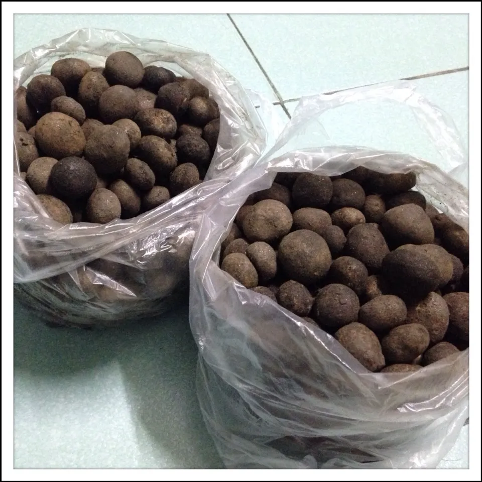 🍄เห็ดถอบ/เห็ดเผาะ🍄|🍀Jaoh Ohlunlaa🍀さん
