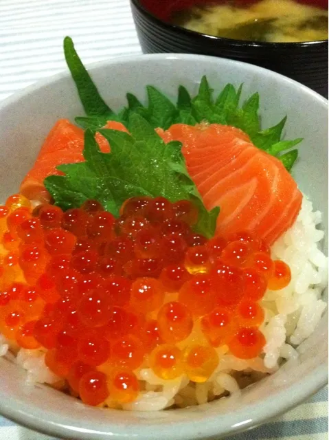 やっぱり〜サーモンとイクラ丼|まーままさん