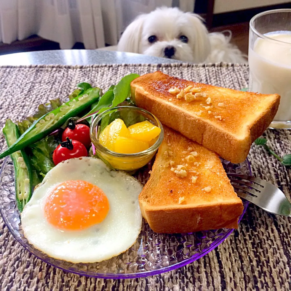 今日の朝ごはん|加藤未春さん