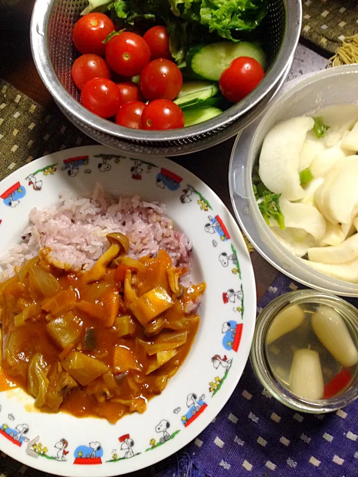 野菜カレー サラダ 漬物|掛谷節子さん