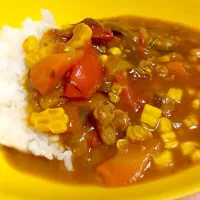 夏野菜カレー|ともmilkさん