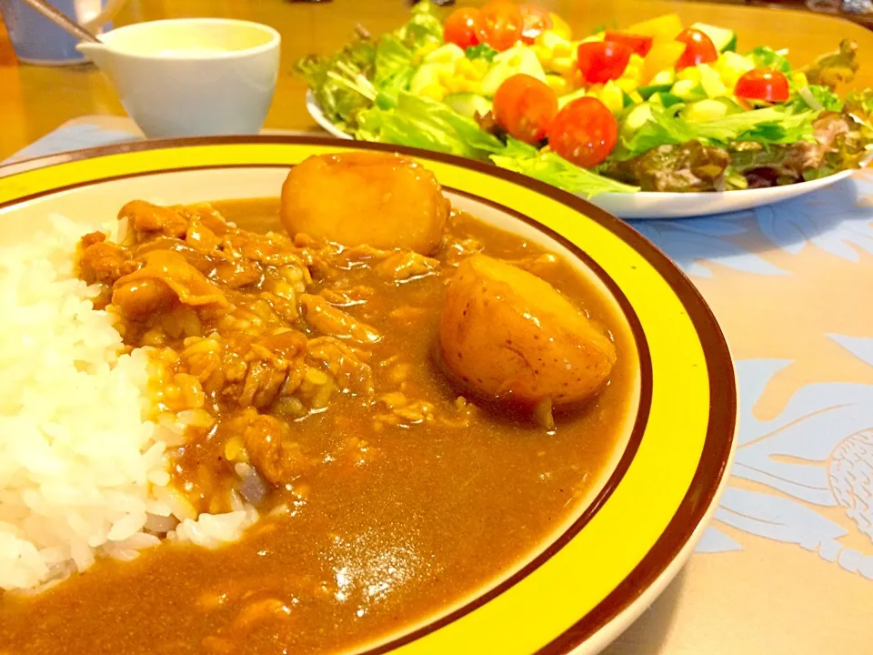 ポークカレーで夕食🍛🍛|かずみさん