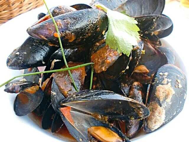 Snapdishの料理写真:Musule Na Buzaru (Stewed Mussels)|Tya LaCroaziaさん