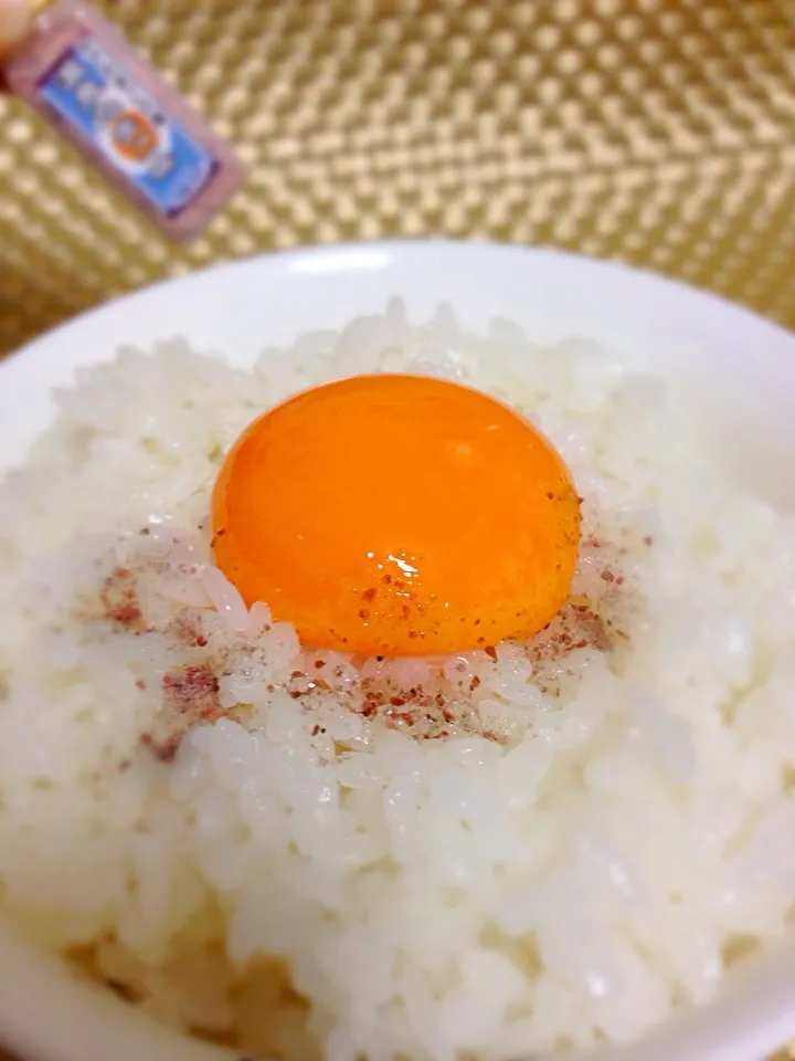 【今日のたまごかけご飯】たまご屋本舗の「美の里」×温泉たまご味の塩|かとう ひろみさん