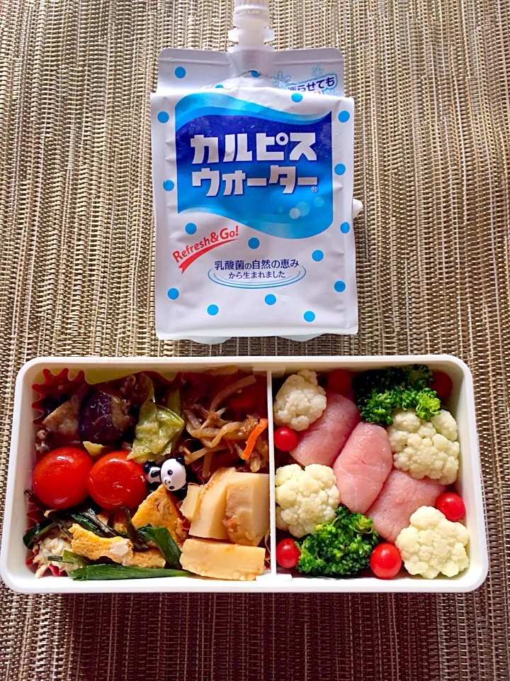 サラダとナスのキャベツの味噌炒め弁当。|SHIHOさん