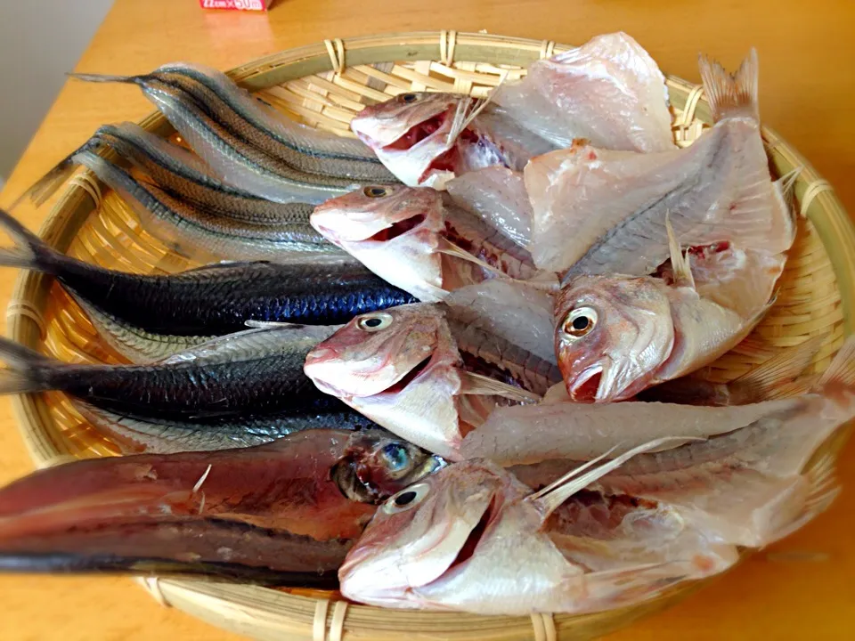 釣魚料理 釣魚の干物|シンリーさん