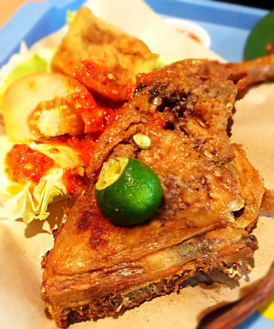 Ayam Penyet@ABC food centre|coxiella24さん