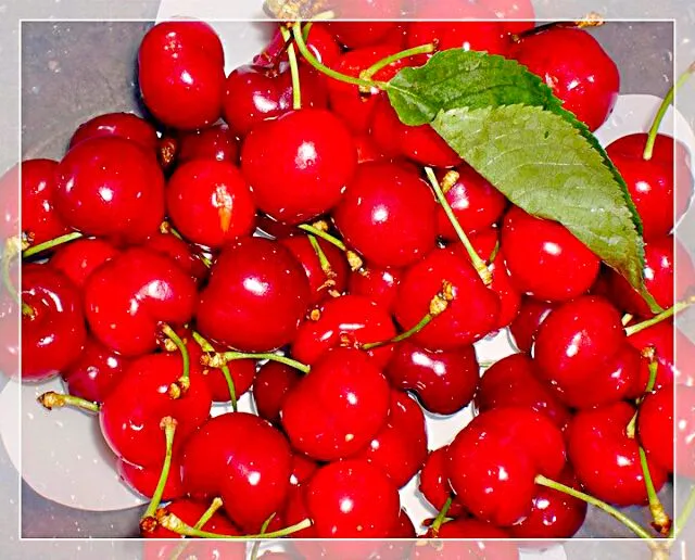 Fresh Cherries from fresh market :)|Tya LaCroaziaさん