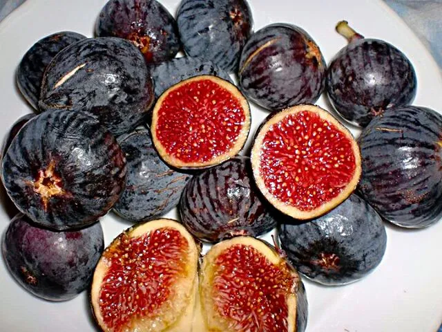 Figs from mother in law...|Tya LaCroaziaさん