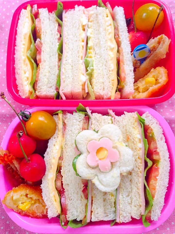 Lunch box☆sandwich🚅🌸ｻﾝﾄﾞｳｨｯﾁ|🌈Ami🍻さん