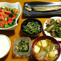 今日の夕飯|佐藤 芙紀さん