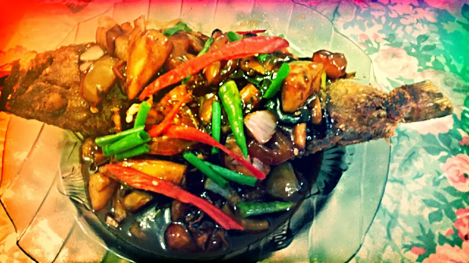 Sweet & sour grouper #fish #sweet #sour|Roxyさん