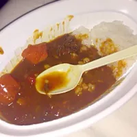 Snapdishの料理写真:カレーなる人生|ttamakooさん