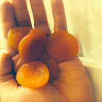 Turkish apricots|Ericaさん