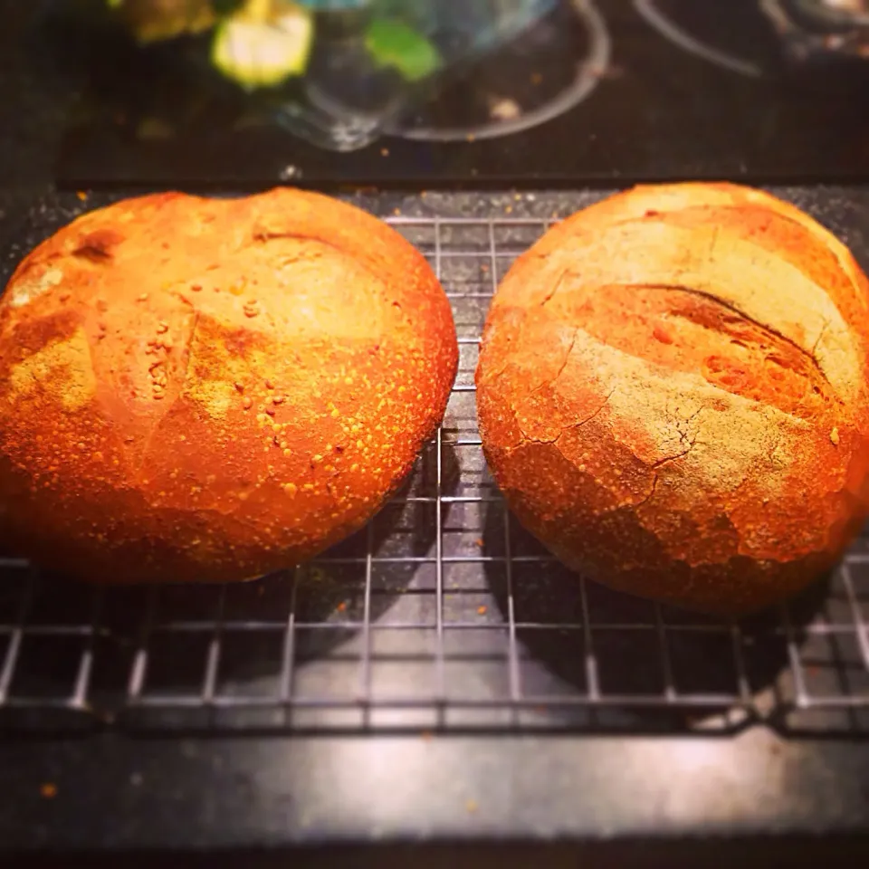 Snapdishの料理写真:White and Spelt Loaves|Carly Keeganさん