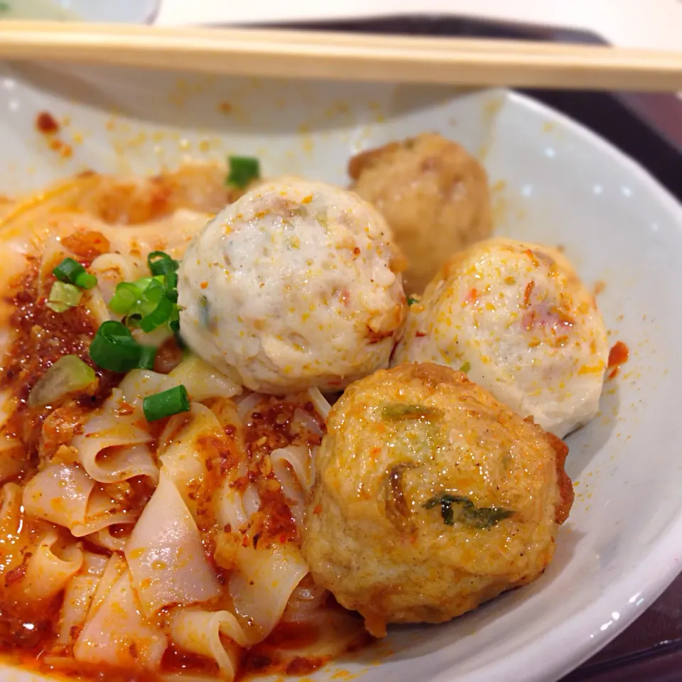 Meat ball noodles|willzさん