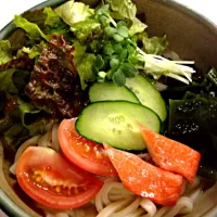 Salad udon with peanuts dressing|Arlene Shibataさん