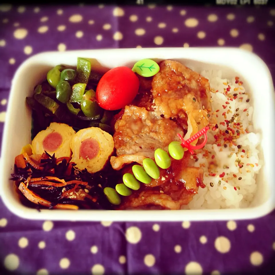 今日のお弁当☆|パピヨン☆さん