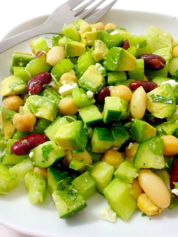 Cucumber Celery Chickpeas and Kidney Beans Salad|Mich Liowさん