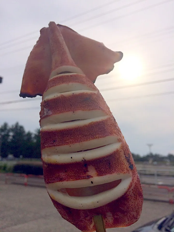 イカ喰ってんねん|タコ焼き多幸坊主さん