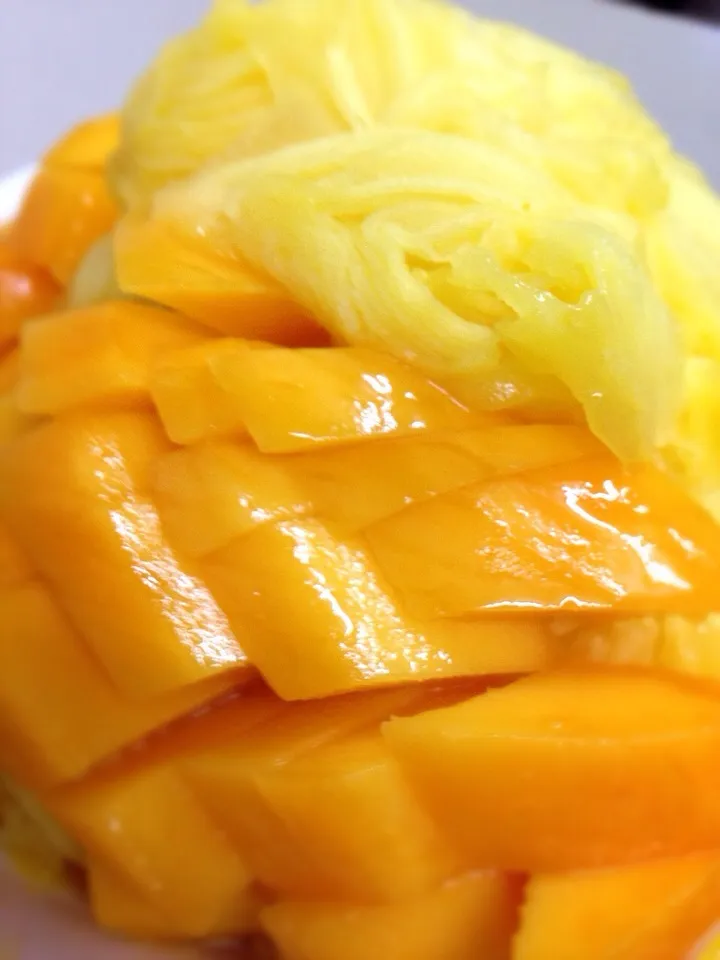 Mango season with awesome ice in Taipei!|Sabrinaさん