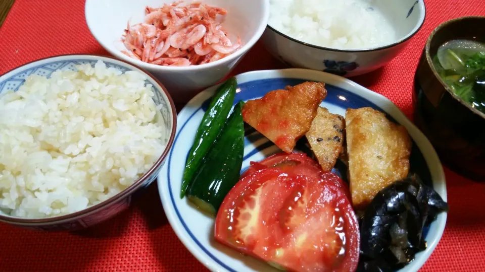 静岡県由比産釜あげ桜えび、
東京都葛飾区亀有佃忠さんのさつま揚げ、
胡瓜、トマト、茄子で晩飯|meguromenさん