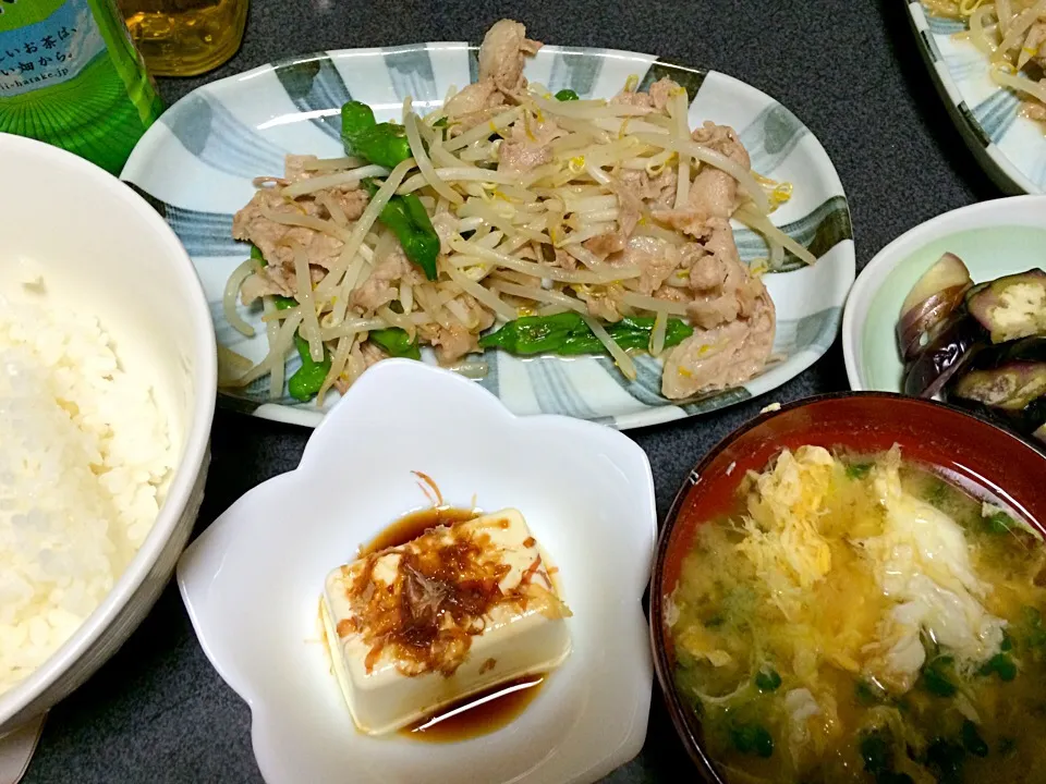 Snapdishの料理写真:冷奴、豆苗玉子味噌汁、ぬか漬け(ナス)、白米、肉野菜炒め(肉、モヤシ、シシトウ)|ms903さん