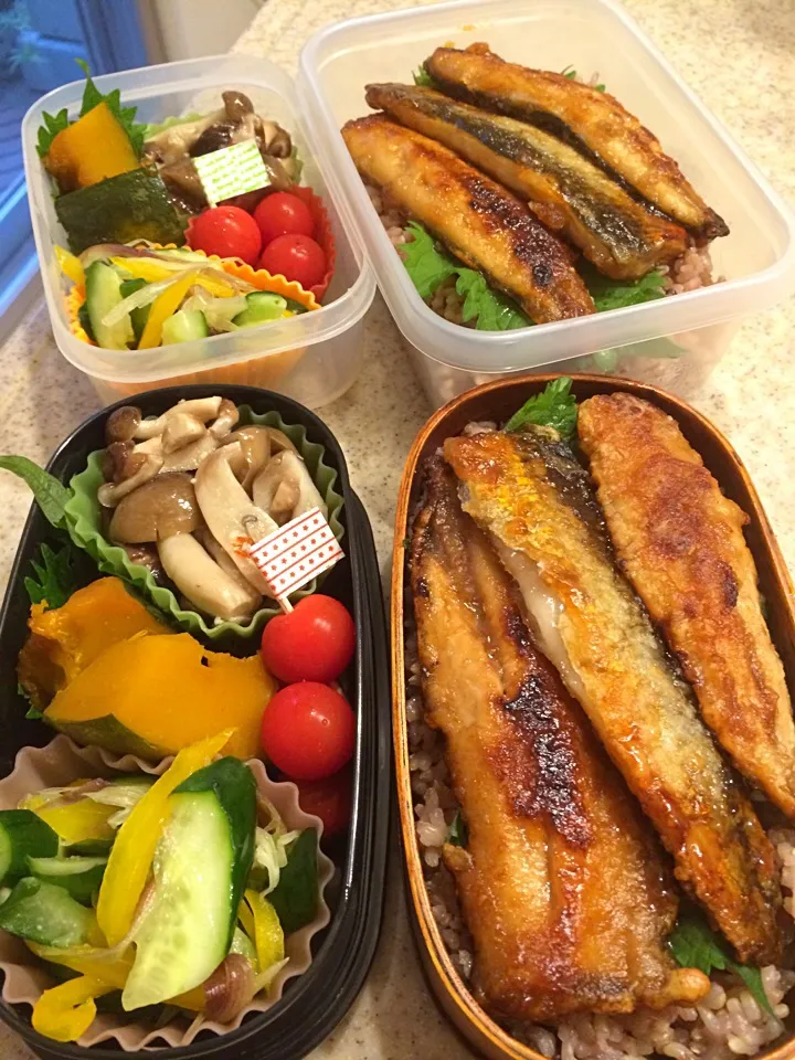 7/7 今日のお弁当|naoさん