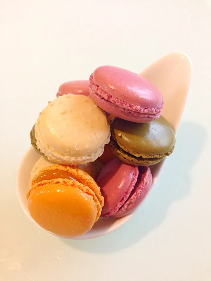 Macaroons|sirakorn owadaさん