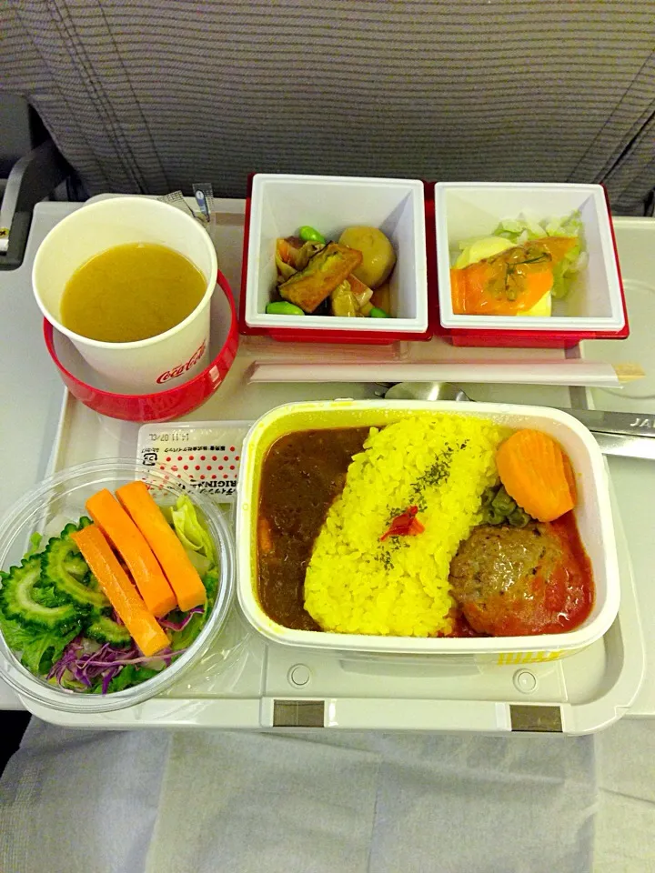 JAL in flight meal outbound from NRT to HCMC|Kumigarさん