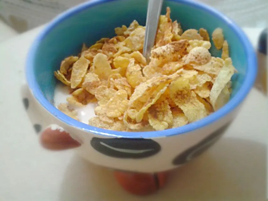 Snapdishの料理写真:07/07/2014 - desjejum

iogurte de mamão + cereal de milho + canela|Gabriela Baptistaさん